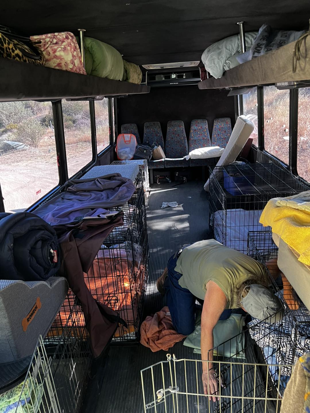 515505572_1164904359005071_8568094195376969725_n